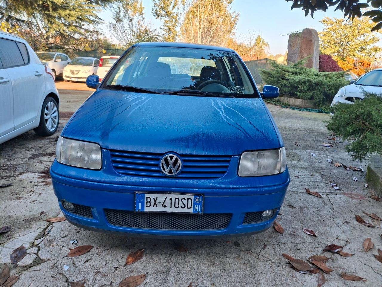Volkswagen Polo 1.4 cat 5 porte Comfortline euro 4 km.106.00
