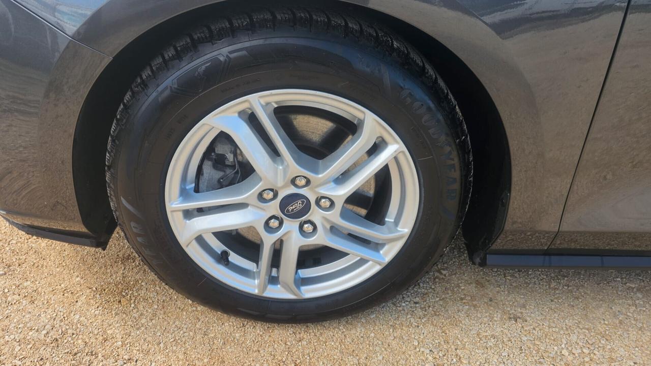 Ford Focus 1.5 EcoBlue 120 CV automatico 5p. Business Co-Pilot