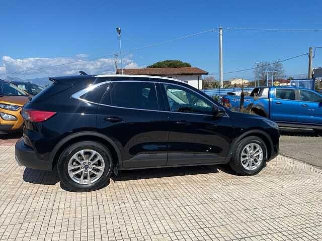 Ford Kuga 1.5 EcoBlue 120 CV 2WD Titanium