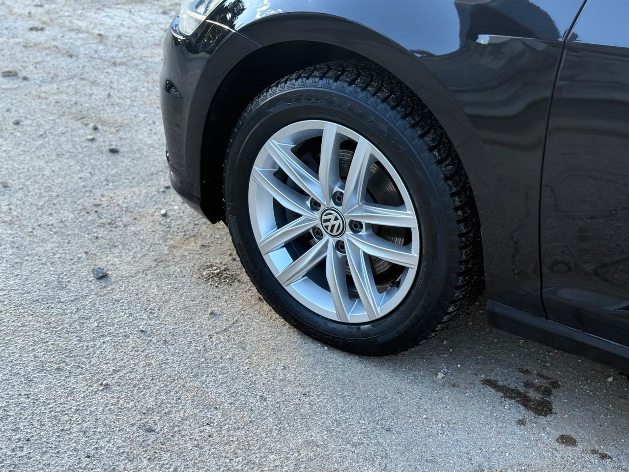 Volkswagen Golf 1.6 TDI 115CV 5p. Business BlueMotion Technology