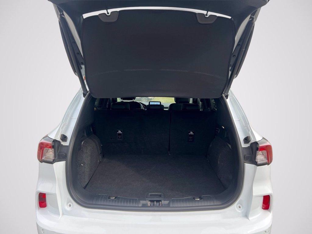 FORD Kuga 1.5 EcoBlue 120 CV aut. 2WD ST-Line X del 2022