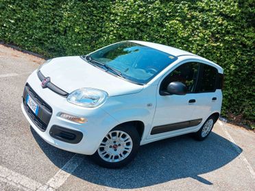 Fiat Panda 1.2 Benz. Euro 6 - PERFETTA