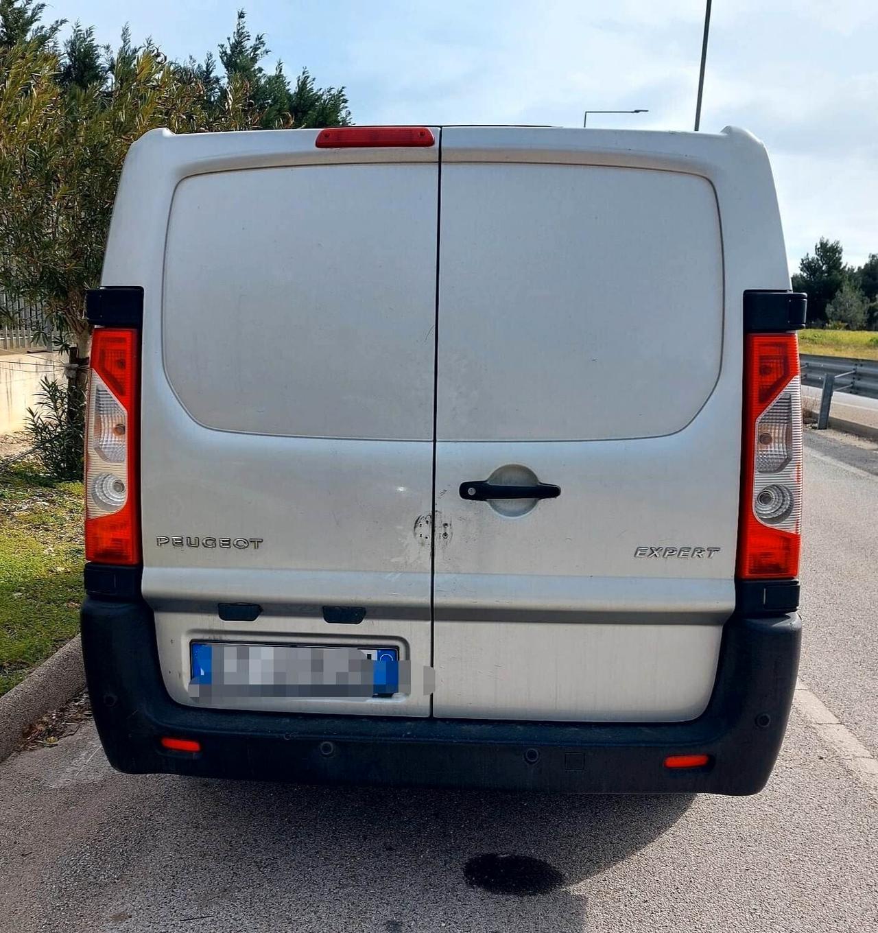 Peugeot Expert furgonato