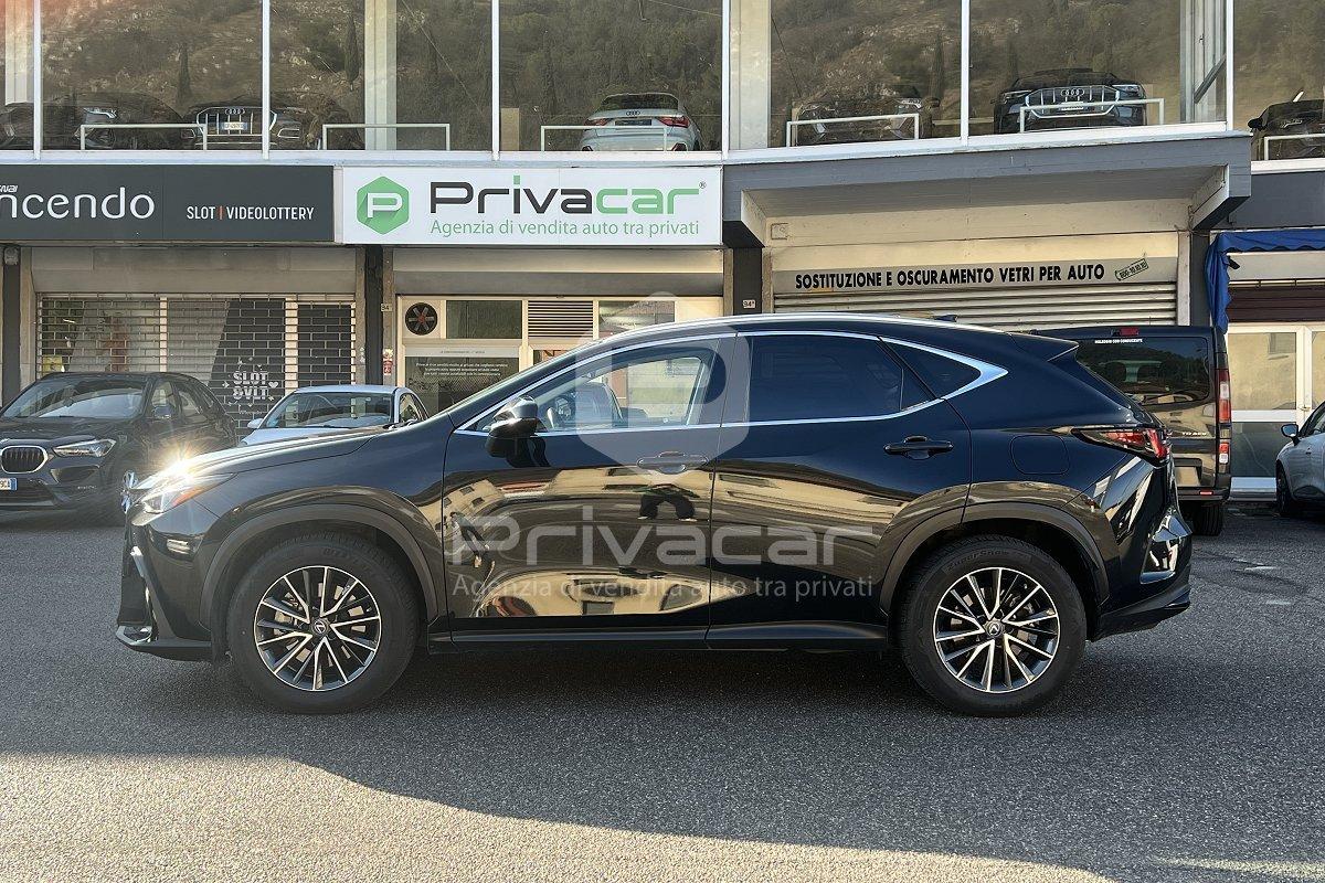 LEXUS NX Plug-in 4WD Premium +