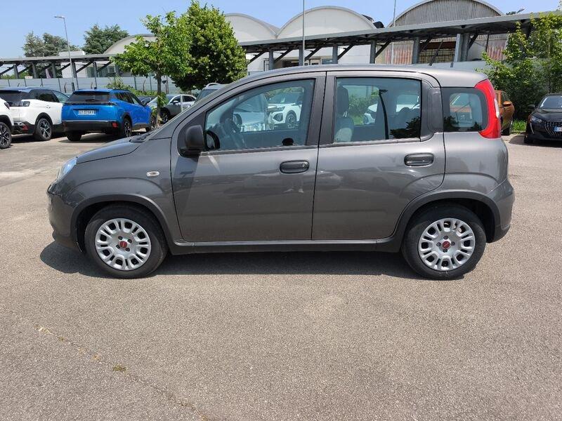 FIAT Panda PANDA HYBRID 1.0 70 CV