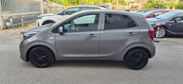 KIA Picanto 1.2 12V 5 porte Vision