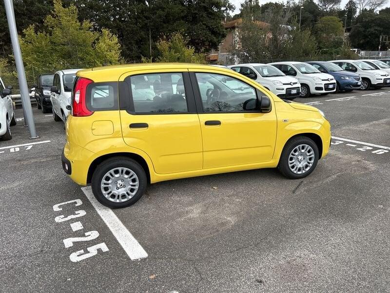 FIAT Panda New 1.0 70cv Hybrid Panda