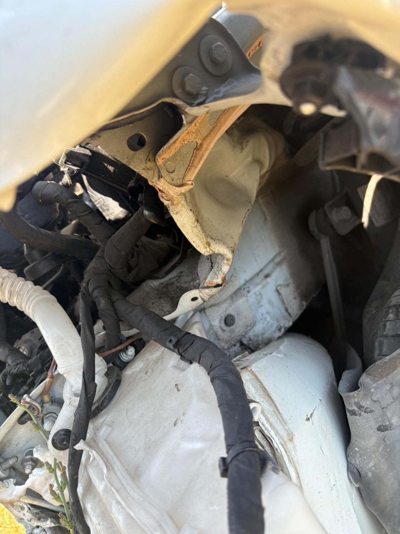 Volkswagen Polo Incidentata