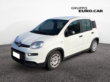FIAT Panda Panda 1.0 firefly hybrid s&s 70cv 5p.ti