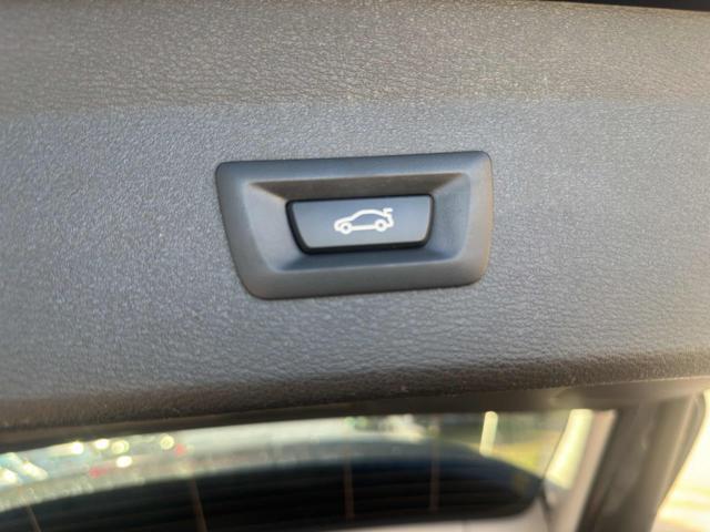 BMW X1 xDrive25e xLine