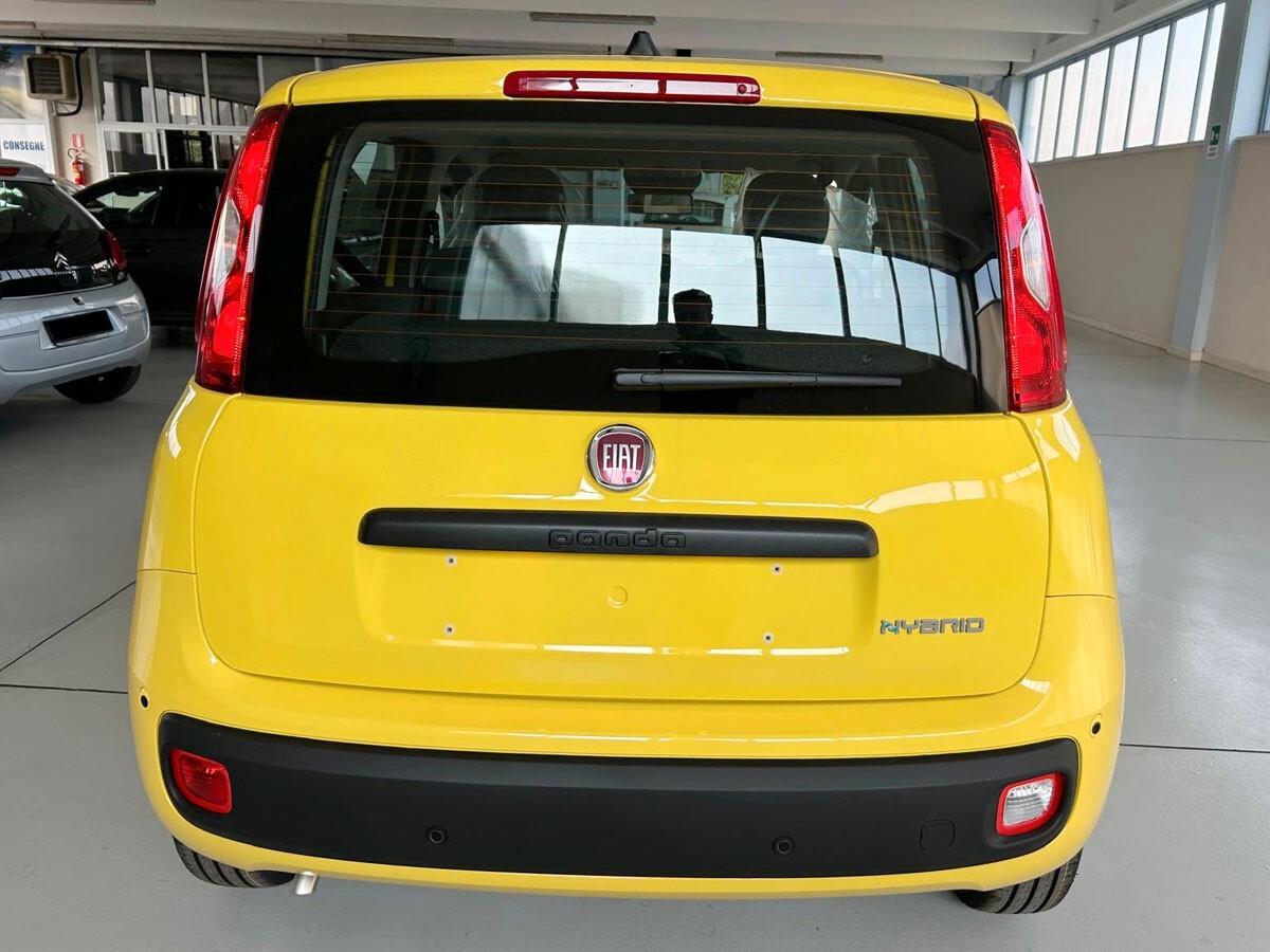Fiat Panda Pandina 1.0 FireFly 65 CV Hybrid Icon