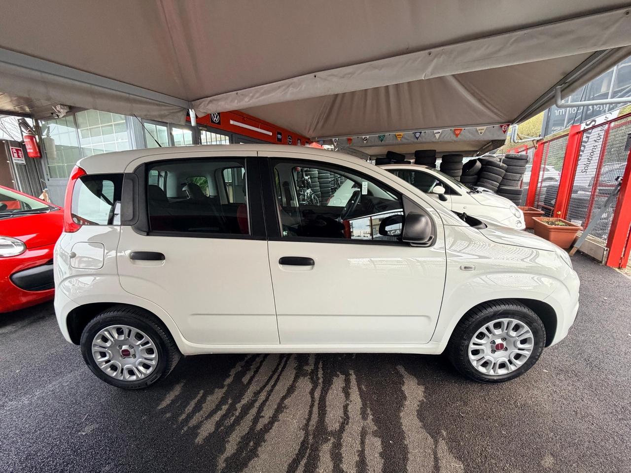 Fiat Panda 1.2 Benzina 2017