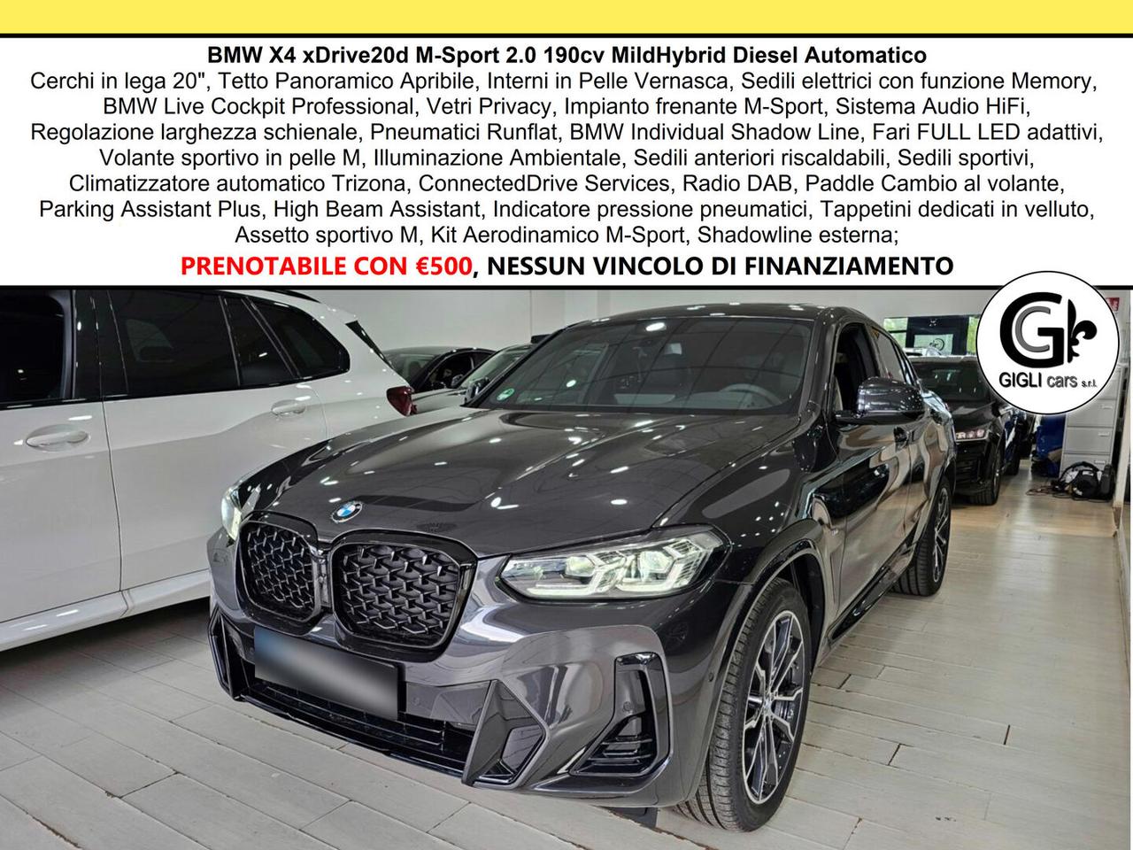 BMW X4 XDrive20d M-Sport C20" TETTO Navi CAM LED Clima3Z