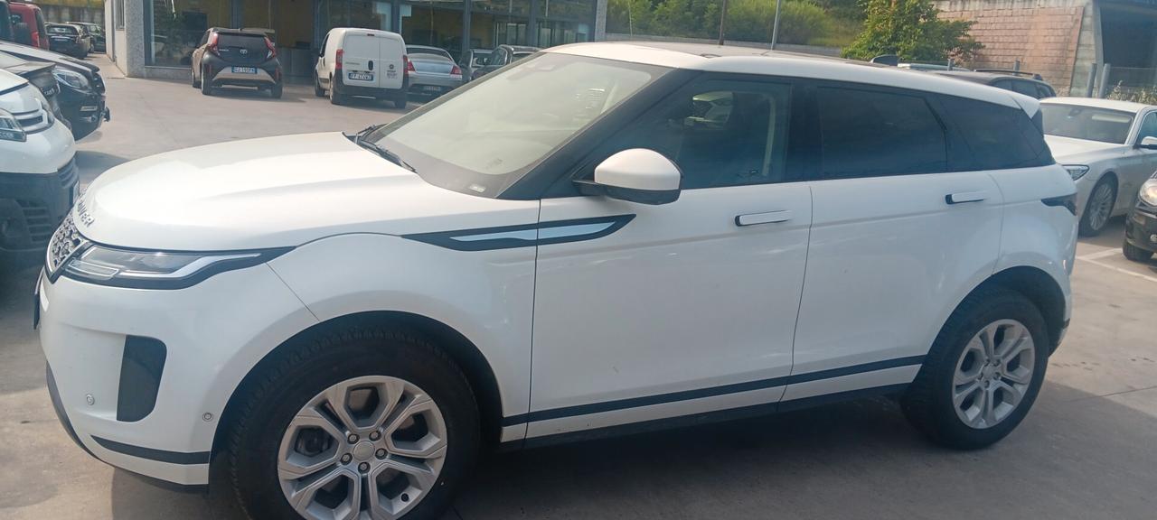 Land Rover Range Evoque 1.5 I3 160 CV Auto SE