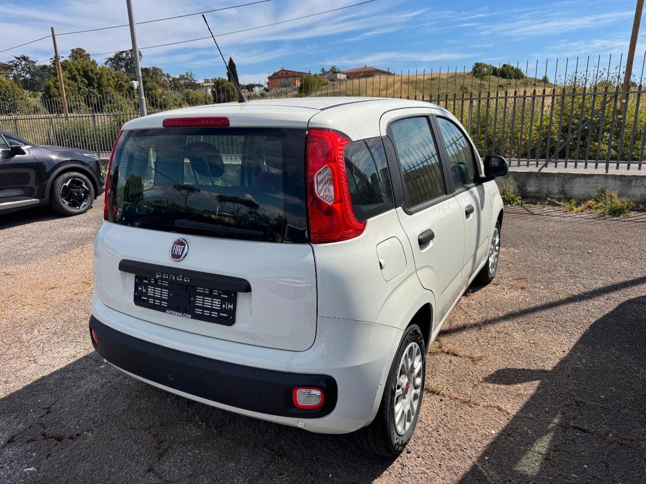 Fiat Panda 1.2 Easy easypower Gpl 69cv my19