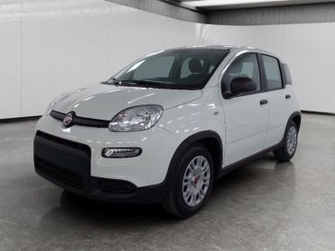 FIAT Panda 1.0 firefly hybrid s&s 70cv 5p.ti