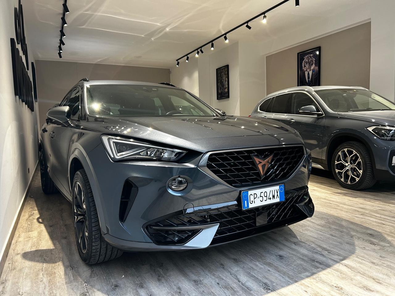 Cupra Formentor 2.0 TDI 4Drive DSG