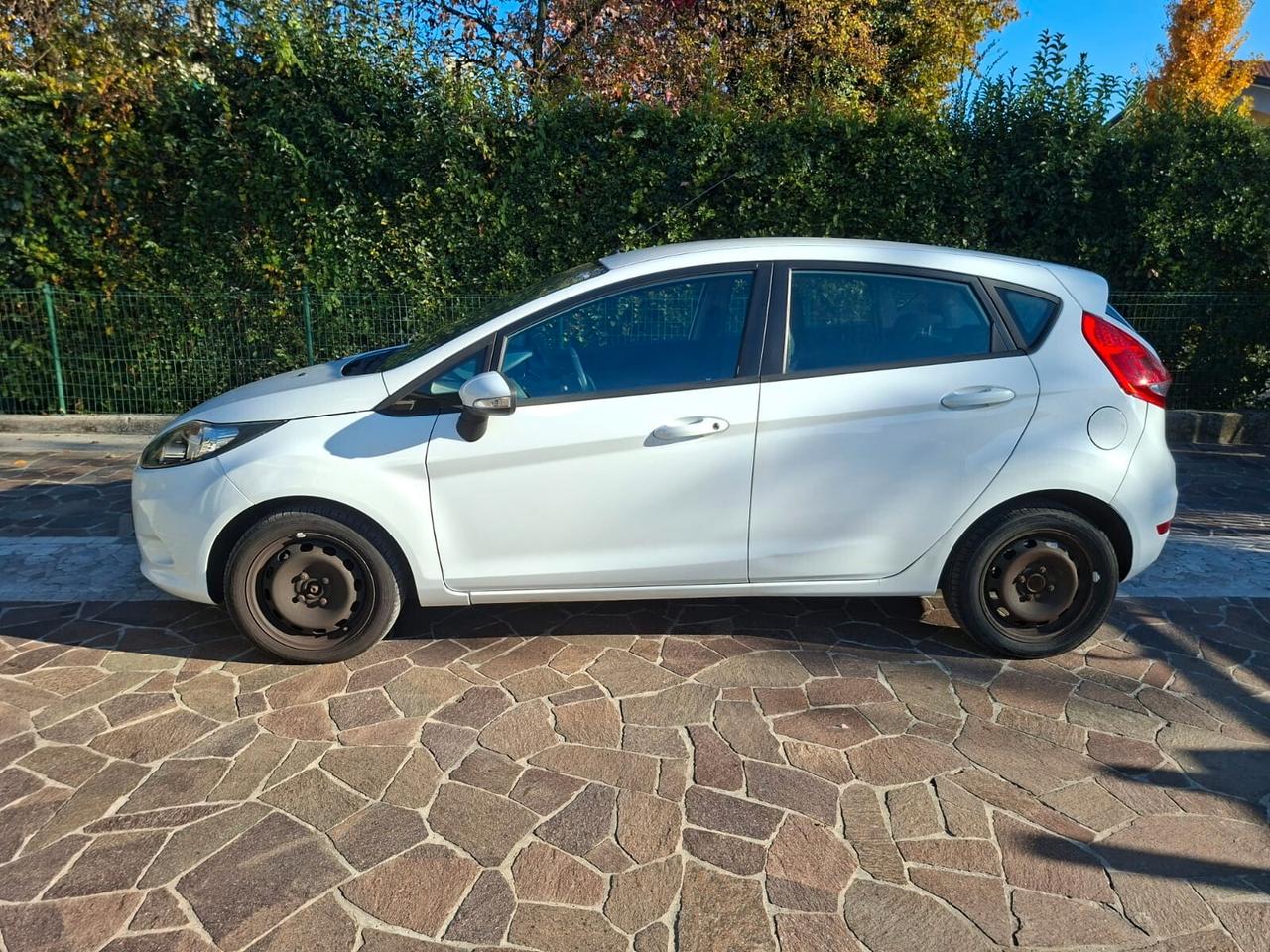 Ford Fiesta 2010
