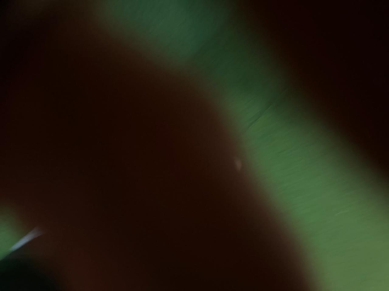 Fiat Ducato 4 serie /2.2/120cv/2022/euro6d temo