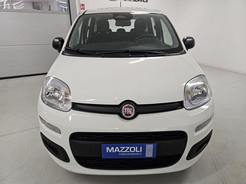 FIAT Panda 1.0 FireFly 70cv S&S Hybrid Pandina