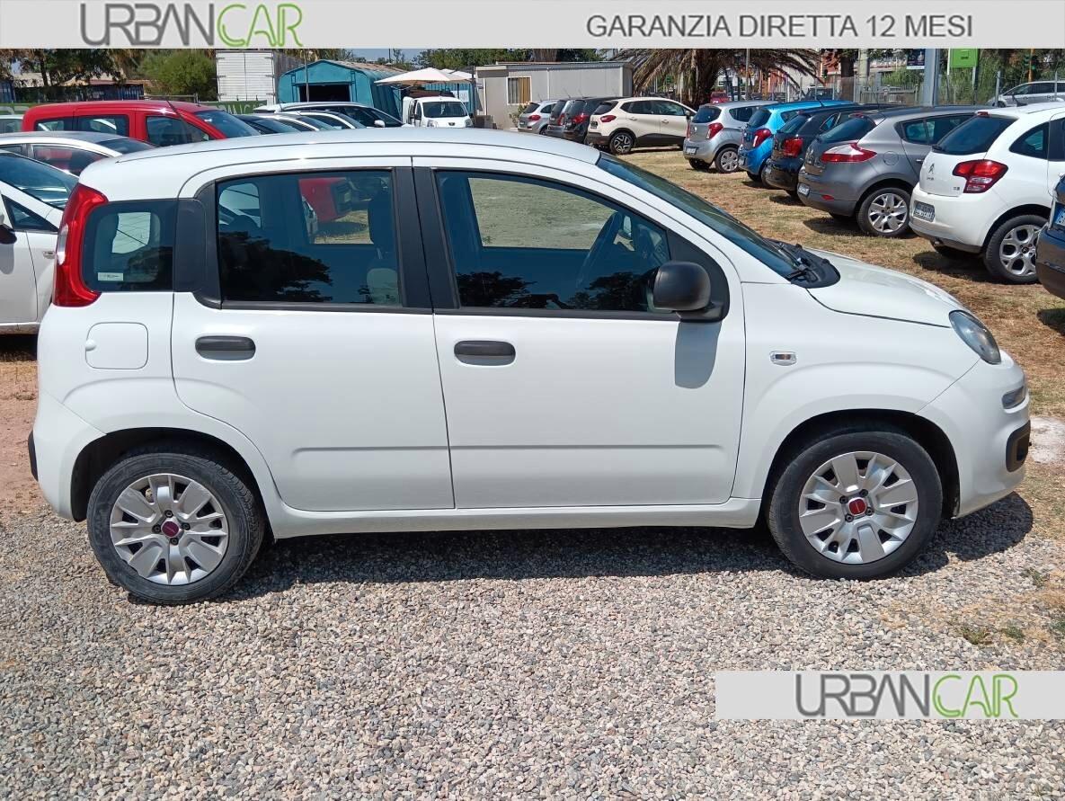 FIAT Panda 1.2 69 Cv 5p - GARANZIA
