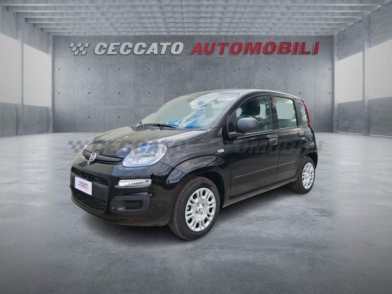FIAT Panda Panda 1.0 70cv Hybrid Pop
