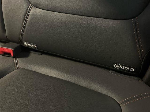 DACIA Spring Electric 65 Extreme