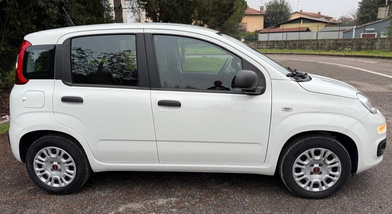 Fiat Panda 1.2 EasyPower Easy ADATTA NEOPATENTATI