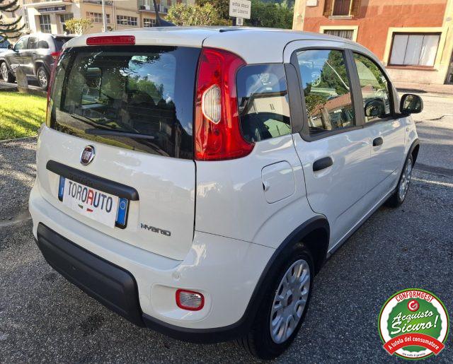 FIAT Panda 1.0 FireFly S&S Hybrid UNICO PROPRIETARIO