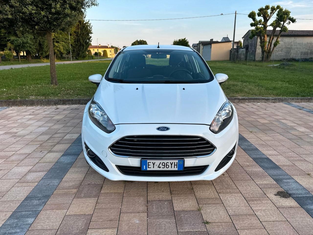 Ford Fiesta 1.5 TDCi 75CV 5 porte Black & White Edition