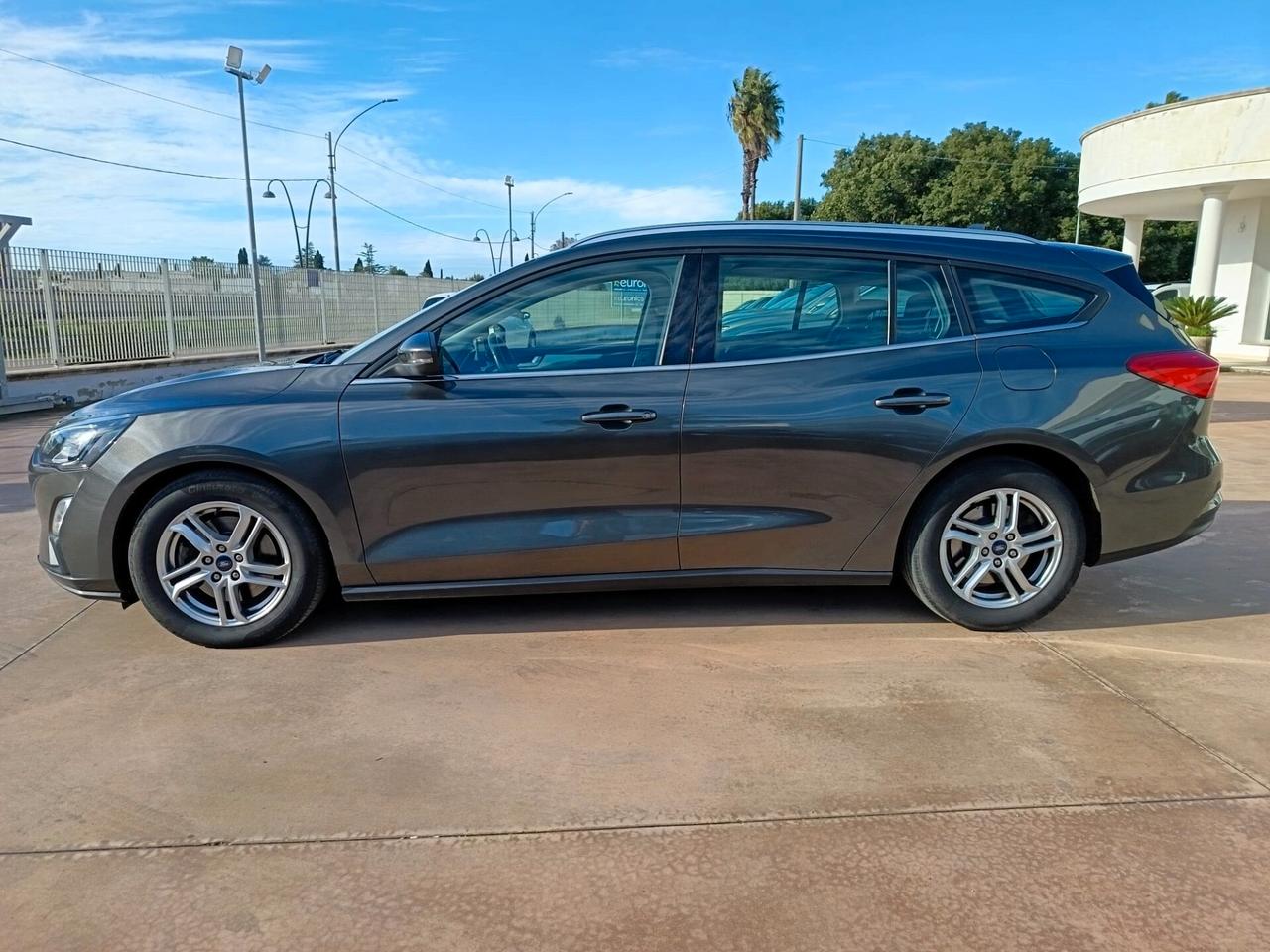 Ford Focus 1.5 EcoBlue 120 CV automatico SW Business Co-Pilot