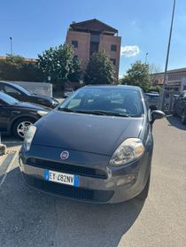 FIAT Punto 1.4 8V 5 porte Natural Power Street conto-vendita