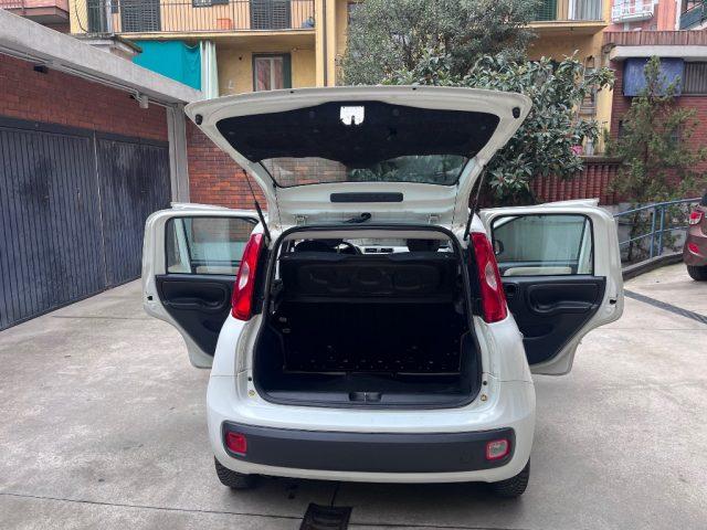 FIAT Panda 1.2 Easy euro 6 benzina distribuzione eseguita