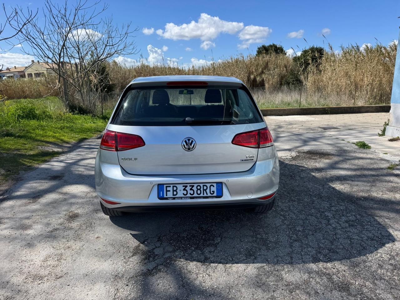 Volkswagen Golf 1.4 TGI 5p. Executive BlueMotion