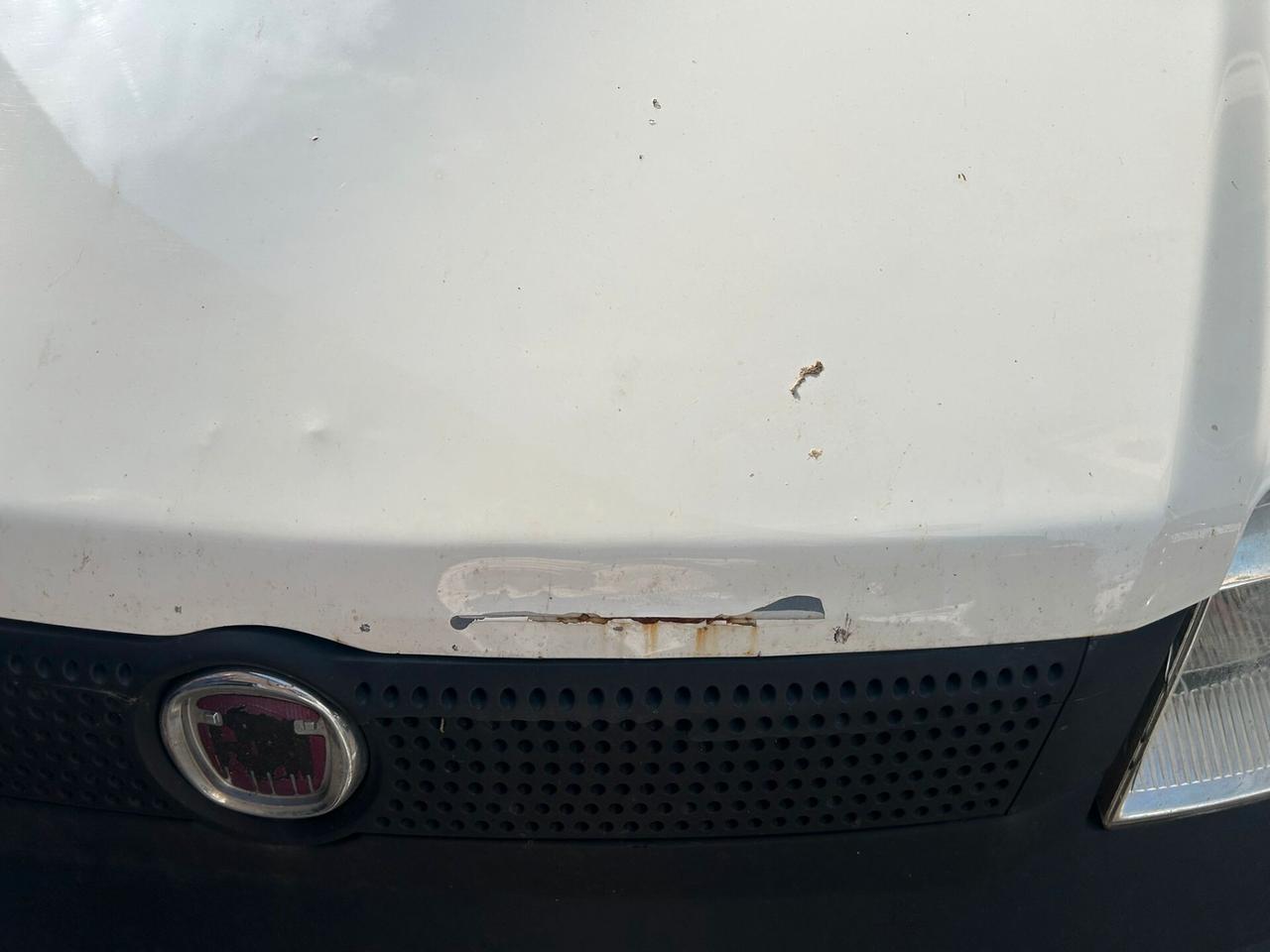 Fiat Panda 1.2 GPL Van 2 posti - ANCHE PER NEOPATENTATI