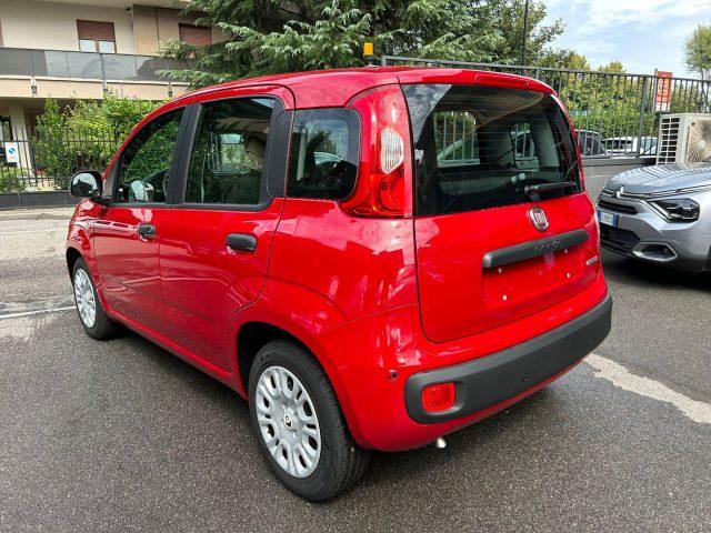 FIAT Panda 1.0 FireFly S&S *PREZZO PROMO*