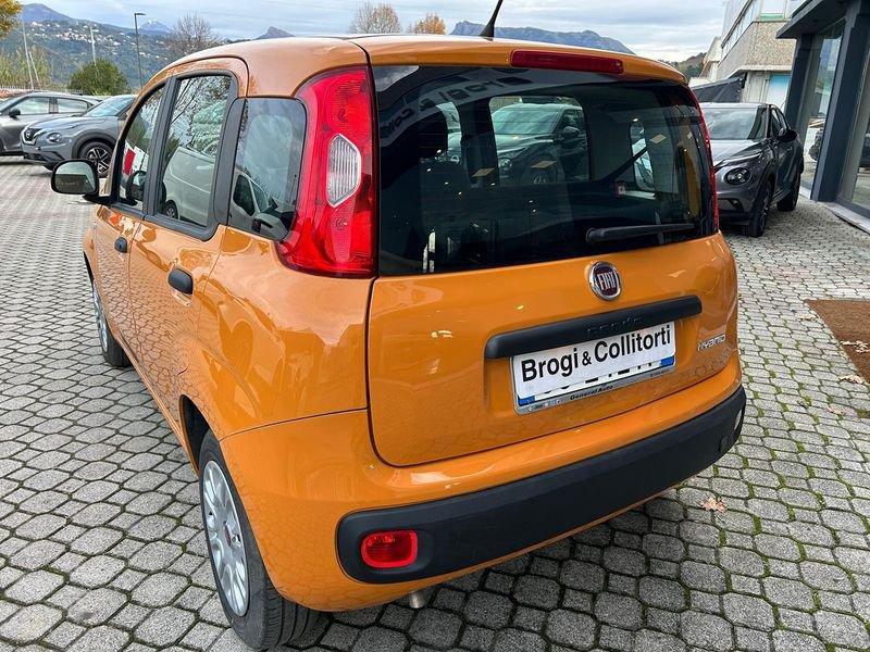 FIAT Panda 1.0 firefly hybrid City Life s&s 70cv