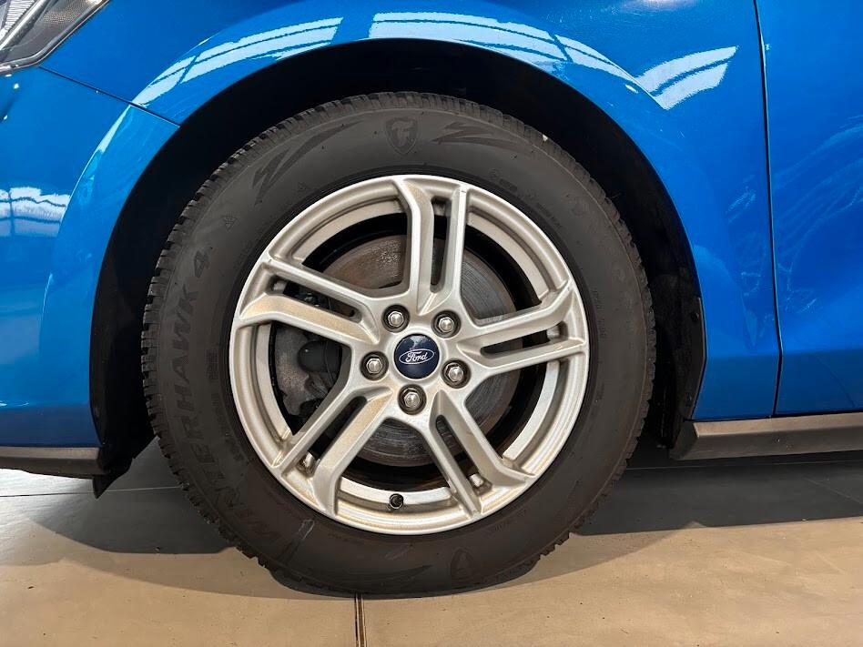 Ford Focus 1.5 EcoBlue 120 CV automatico Co-Pilot