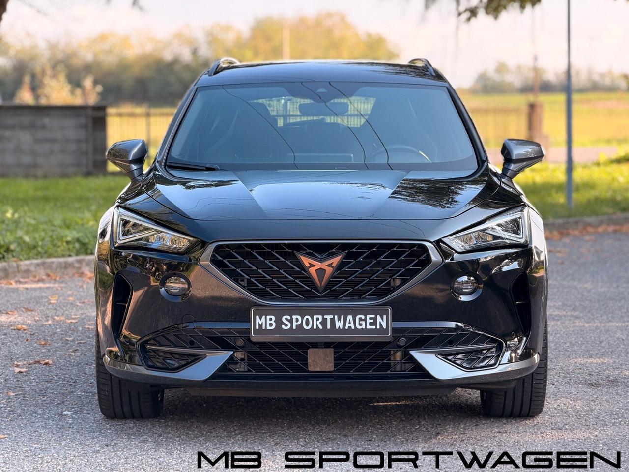 CUPRA FORMENTOR 2.0 TSI 245 CV DSG