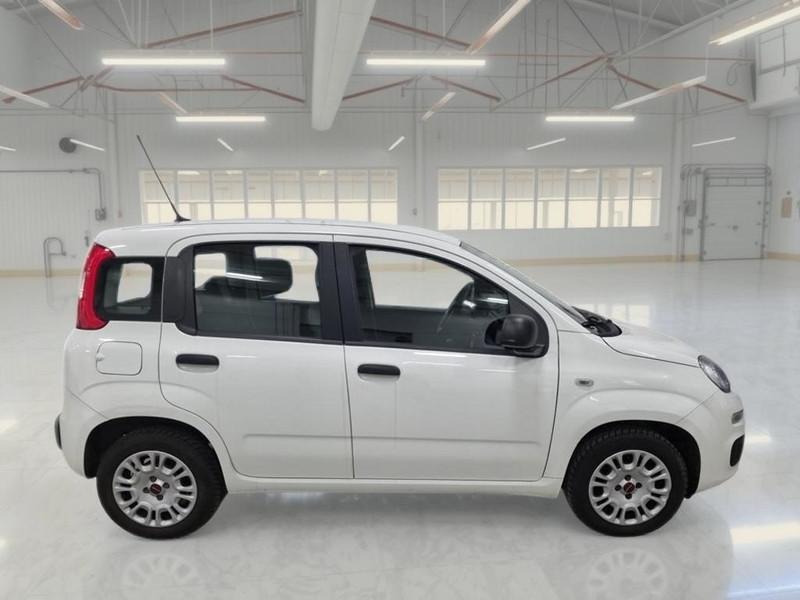 FIAT PANDA 1.2 69 CV SES E6D-TEMP EASY 5 PORTE BERLINA