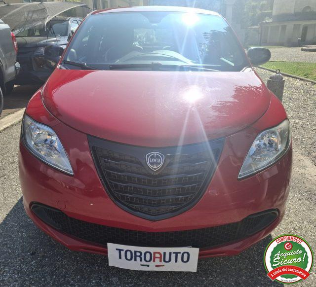 LANCIA Ypsilon 1.2 69 CV 5 porte Elefantino
