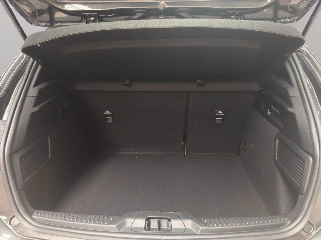 FORD Focus 1.0 EcoBoost Hybrid 125 CV 5p. ST-Line del 2023