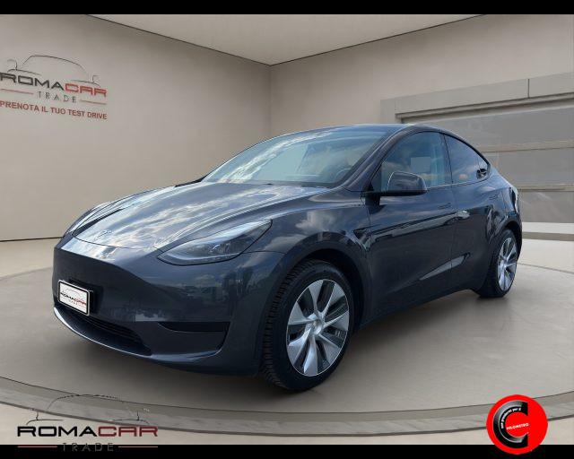 TESLA Model Y RWD