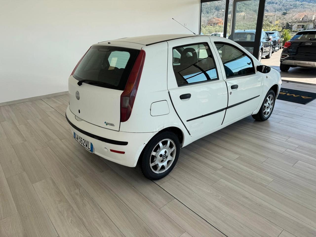 Fiat Punto 1.2 5 porte Active Natural Power