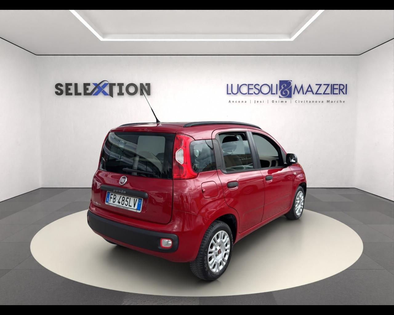 FIAT Panda 3ª serie - Panda 1.2 Easy