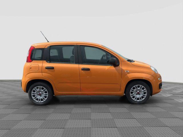 FIAT Panda Panda 1.0 FireFly Hybrid