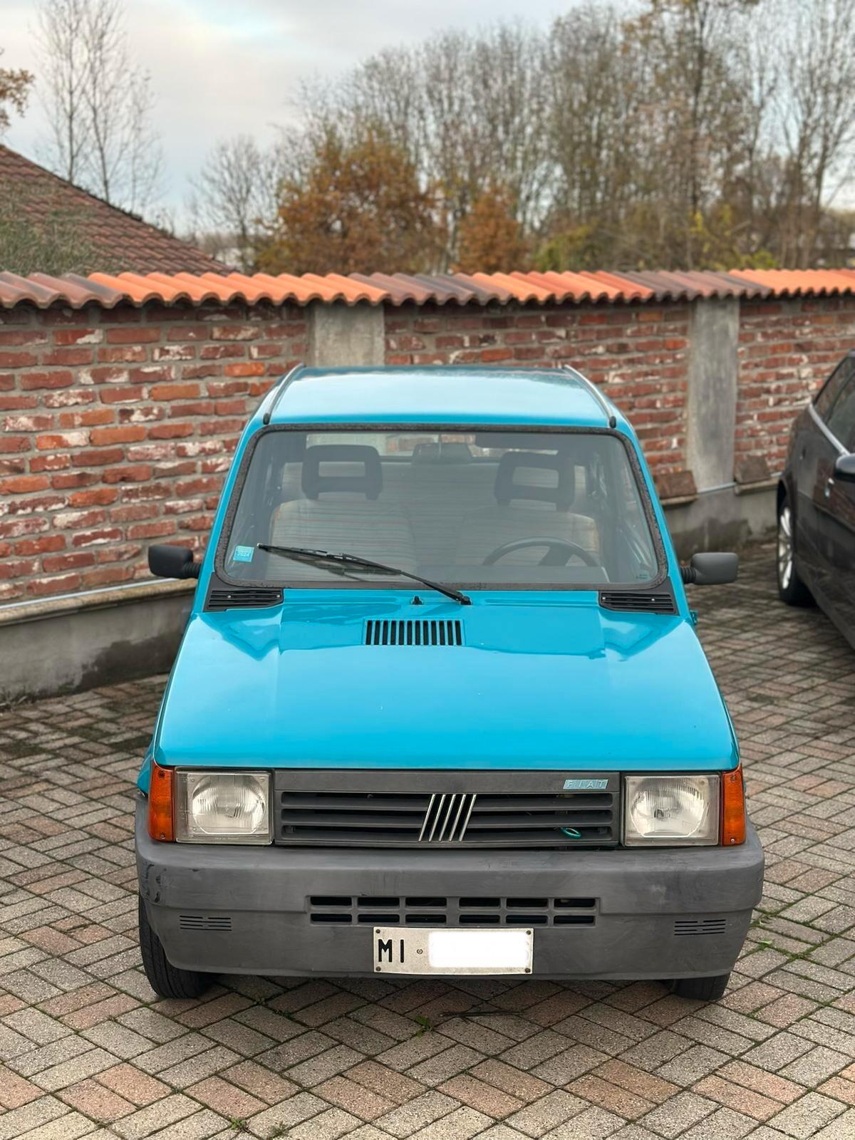 Fiat Panda 900 i.e. cat Young