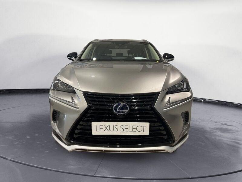 Lexus NX Hybrid 4WD Premium