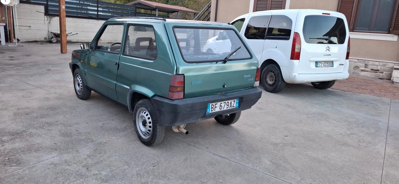 Fiat Panda 900 i.e. cat Young