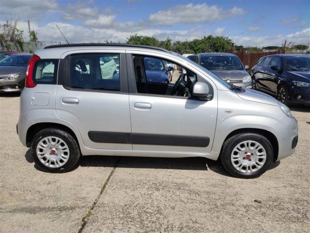 FIAT Panda 1.2 Lounge OK NEOPATENT. CLIMA,FENDINEBBIA ..